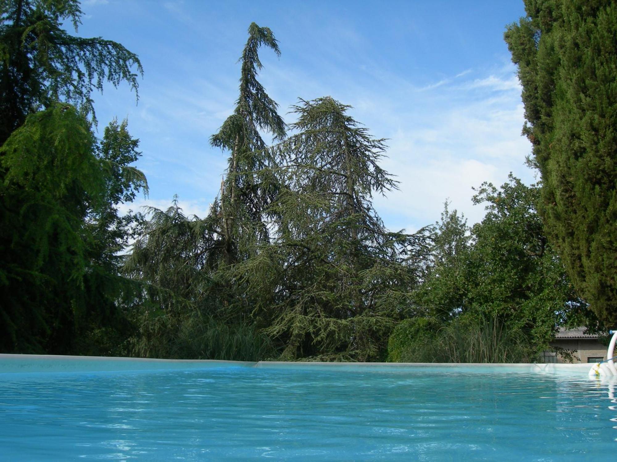 Villa Campo Di Fiore Ареццо Экстерьер фото